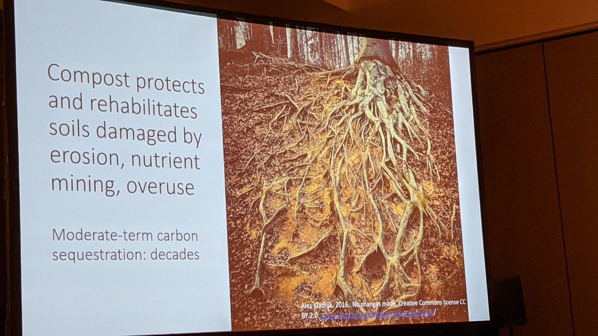 Ver imagen en Twitter