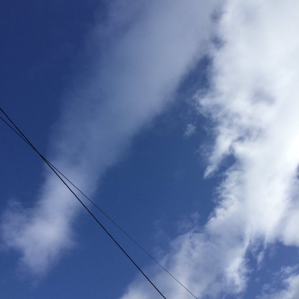 tonpyo's tweet photo. おはようございます。
今朝の富山市は晴れています。
今日は月曜日、2020年2月17日です。
Good morning!
It’s sunny morning in Toyama City.
Today is Monday, February 17,2020.
#calendar #toyamacity #japan #orange #brokennumbers
#日めくりカレンダー #富山市 #みかん #壊れた数字 https://t.co/F3gdKHzYL9