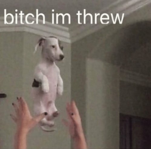 So. I was driving home from my first threesome (epic) and then the cops decide to stop me on the highway