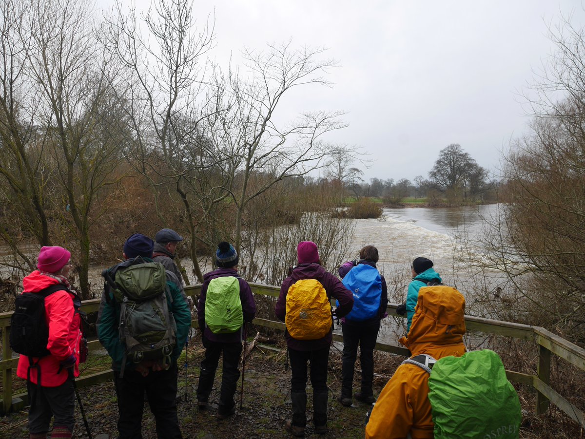EildonRamblers's tweet photo. Despite #StormDennis a plucky bunch of #EildonRamblers did the Circular walk at #Harestanes along the Teviot via Nisbet and Deer Street, Docot, by #Monteviot. Although very muddy underfoot, the group took time to check out the Teviot water levels. #RamblersGB #RamblersScotland, https://t.co/UssrrGEa78
