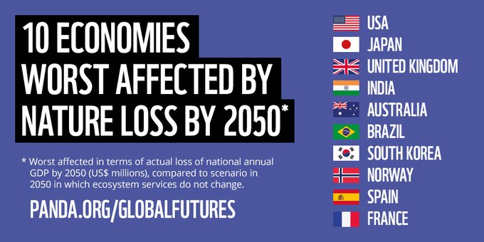 jcdelolmowwf's tweet photo. Destruir la naturaleza nos saldrá muy caro!
La pérdida de servicios ecosistémicos costaría más de 478 mil millones $ año
#España entre los 10 países más afectados
Nuevo informe de @WWF👉https://t.co/4laylmHYX7
@sanchezcastejon @Teresaribera @CristinaNarbona 
#LuchaPorTuNaturaleza https://t.co/UUjp0sKrxB