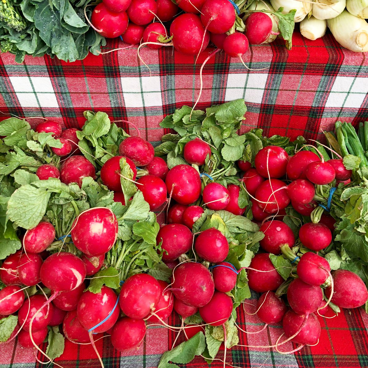 Did you know that you can also eat the stem and leaves of each radish? Same goes for carrots and beets, which are all available from Ground Stew Farms at the market today.