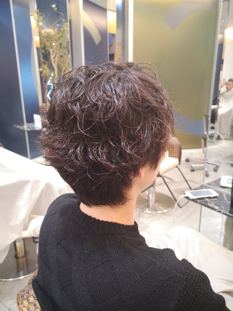 森 正臣 パーマ塾 ガチ縮毛矯正毛に通常ロッドでクリープパーマを施術 ブリーチ毛にパーマと似てます 動画にする前にブログにプロセスと考察を書いてから動画解説しようと思います 縮毛矯正毛にクリープパーマできるとメンズ ショートの施術の幅かかなり