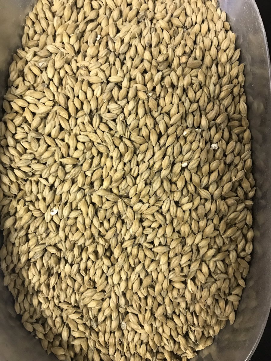 Simpsons Finest Pale Ale Golden Promise. This malt is great for an IPA, Wee Heavy and many more styles. You will get a more pronounced malty sweetness with this malt and It can be used up to 100% of the grain bill. #homebrew #homebrewing #grainbill #malt #grain #paleale #weeheavy