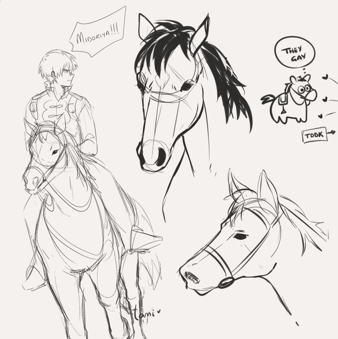 it's been a million years.. *cries* /sharing these sketches of horse practice (+prince!tdrk) i did for my tddk sol zine's piece,, im not good at drawing animals but pls look forward to the final thing, i shed many (frustration) tears on that drawing #bnha #mha #todorokishouto 