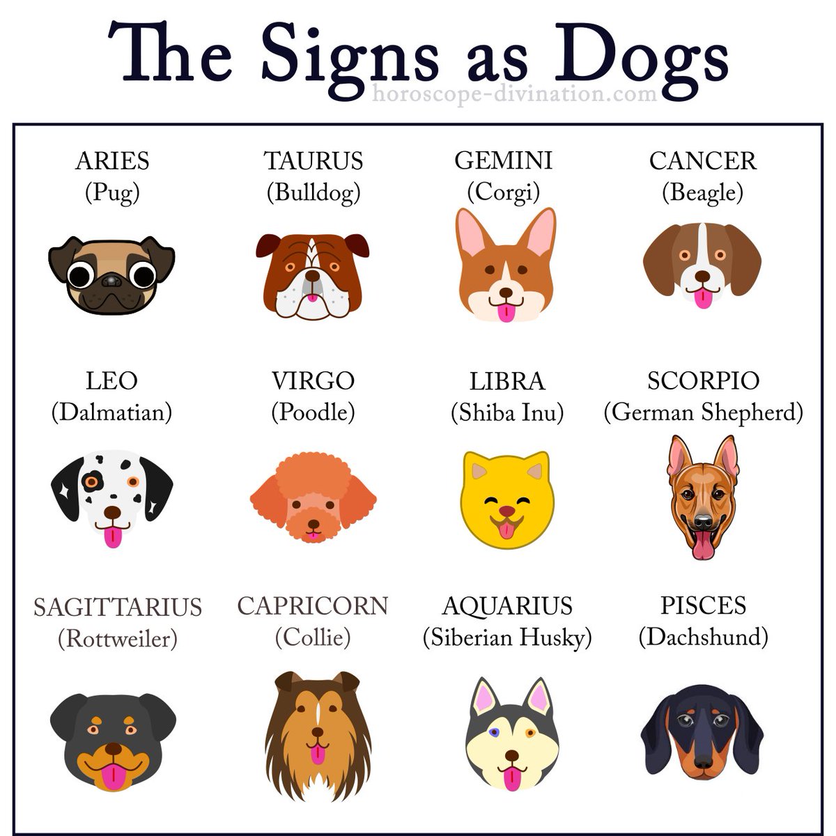 Horoscope_Divi's tweet photo. Are you Capricorn, Sagittarius, Taurus, Pisces or other zodiac signs? ❤❤❤ What lovely dog are you based on your zodiac sign? Faithful Beagle, Charismatic Siberian Husky or Intelligent Collie? #zodiac #memes #memesdaily #Horoscope #zodiacsigns #memes2020 https://t.co/R8NHMsGYtd