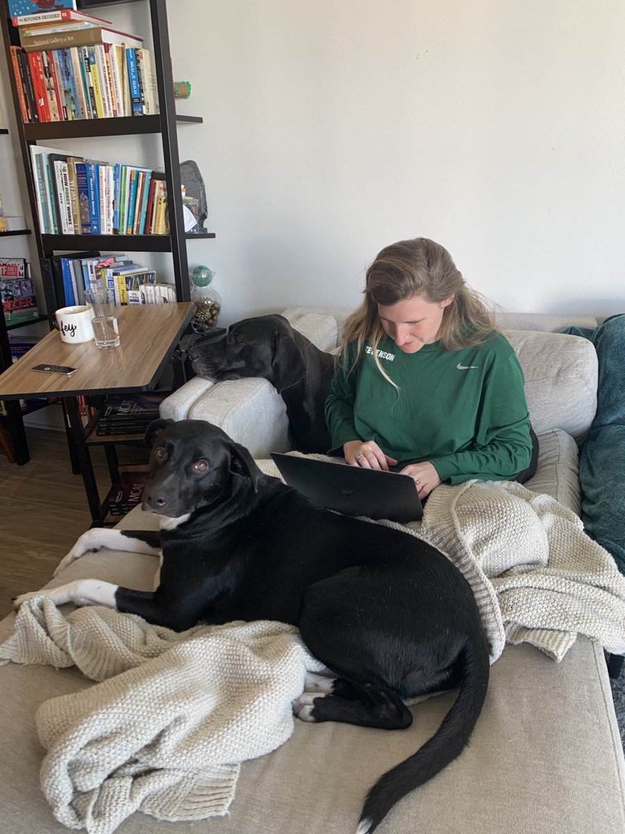 LunaFluentKey's tweet photo. Go mom! ¡Que feliz que ya estás en casa de nuevo! https://t.co/4qHuelxzZx