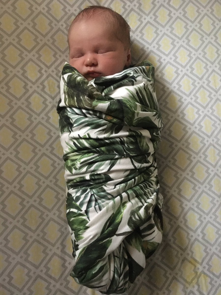 JeremyWalker21's tweet photo. My wife and I welcomed Olivia into our family early Wednesday morning. Relaxing and enjoying our first weekend as a family, one member bigger! https://t.co/Nbb8iwcJ1J