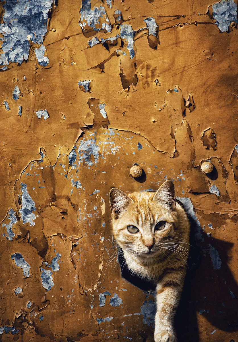 Raymonman's tweet image. #photograghy