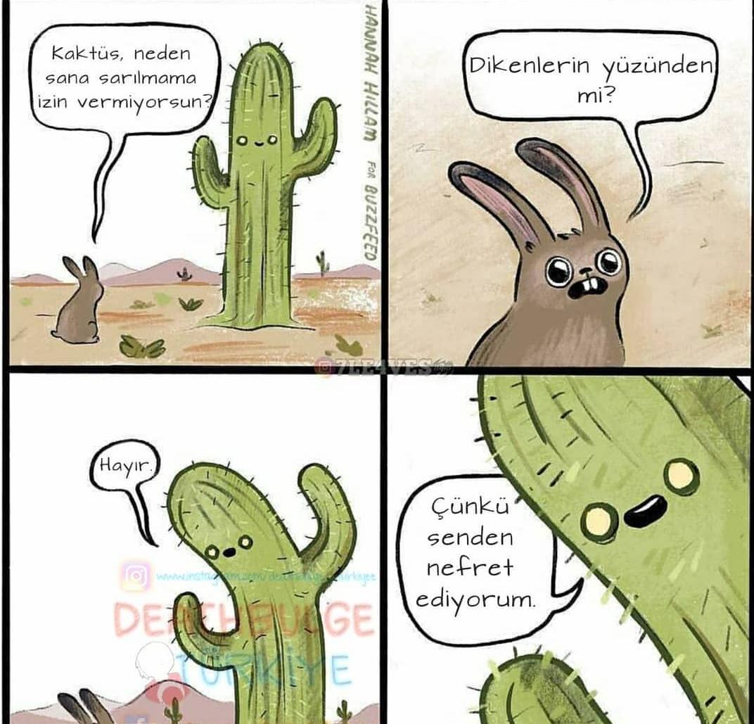 Mimar egosu denilen bir şey var... Bkz. Örnek: