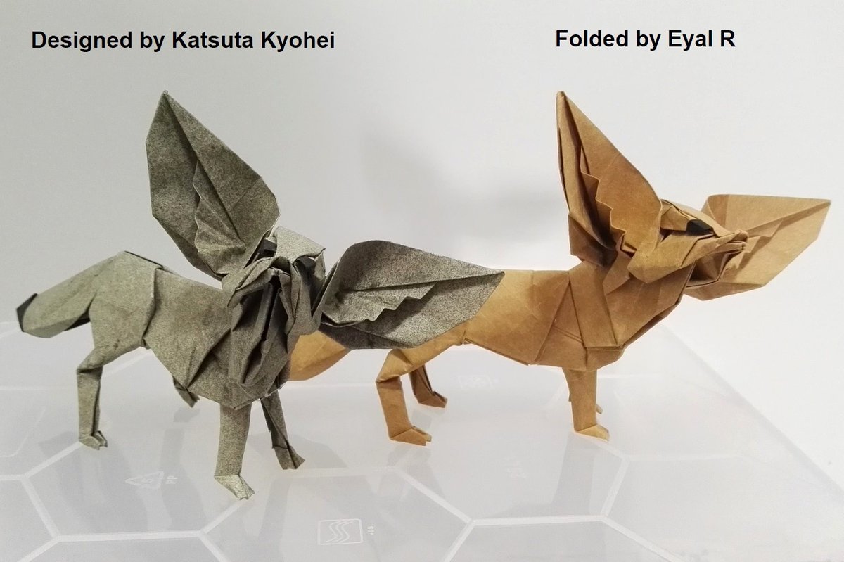 Fennecs
Designed by <a href="/Kyohei_Katsuta/">勝田恭平／Katsuta Kyohei</a> 
I Folded one from 50*50 cm rare textured grey EH paper,and the the other one from light brown Satogami Paper.
Diagrams from Katsuta Kyohei's new book- Highly recommended!
origamihouse.jp/book/original/…