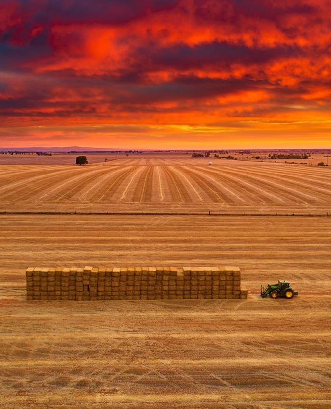 AusAgritech's tweet photo. The start of another working week here at Australian Agritech Association, where we will be continuing to promote great the opportunities that Australian agritech can bring to the world.

Repost: @thankafarmerforyournextmeal

#agritech #aussieag #farming #innovation #australia https://t.co/T732iKeoOc