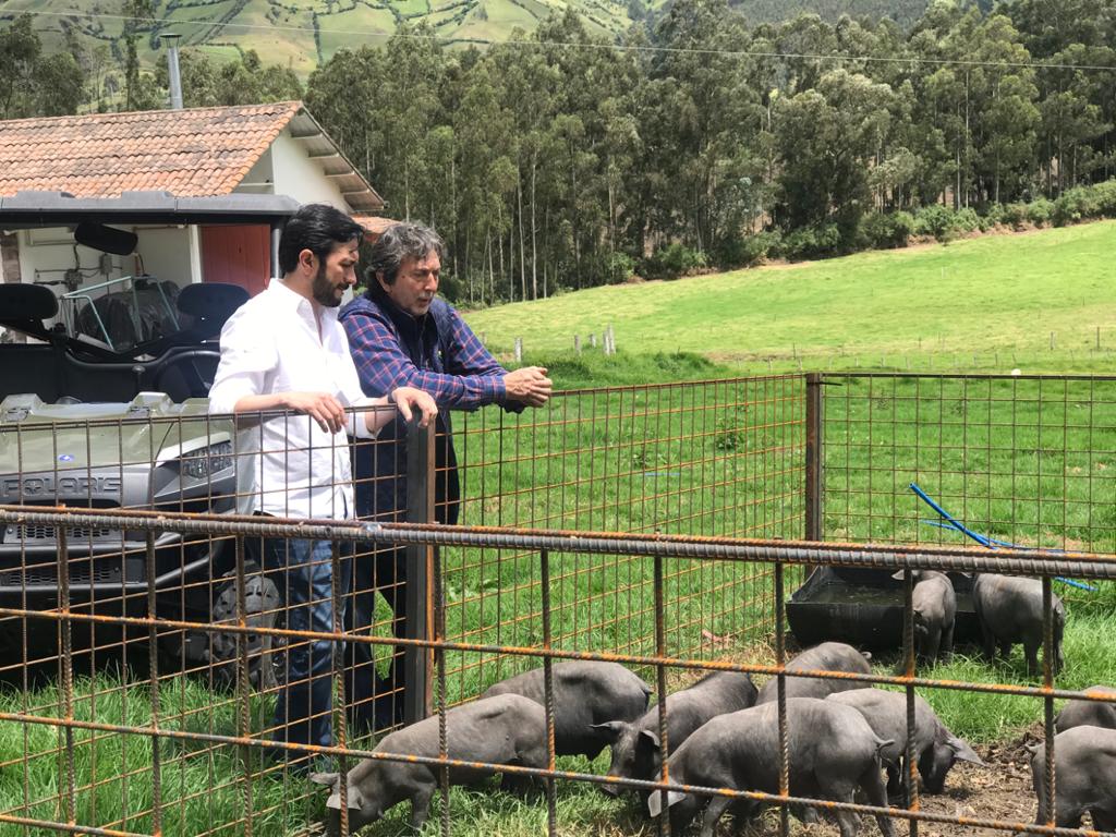 EddiePesantez's tweet photo. "Como @AgriculturaEc apoyamos el rescate de la identidad del cerdo criollo; el objetivo es tener un cerdo propio el cual nos otorgue una diferenciación en producción y calidad de carne; posicionando al país en el sector gourmet con un alto nivel y calidad." 🐷 https://t.co/DrnfzoQwrr
