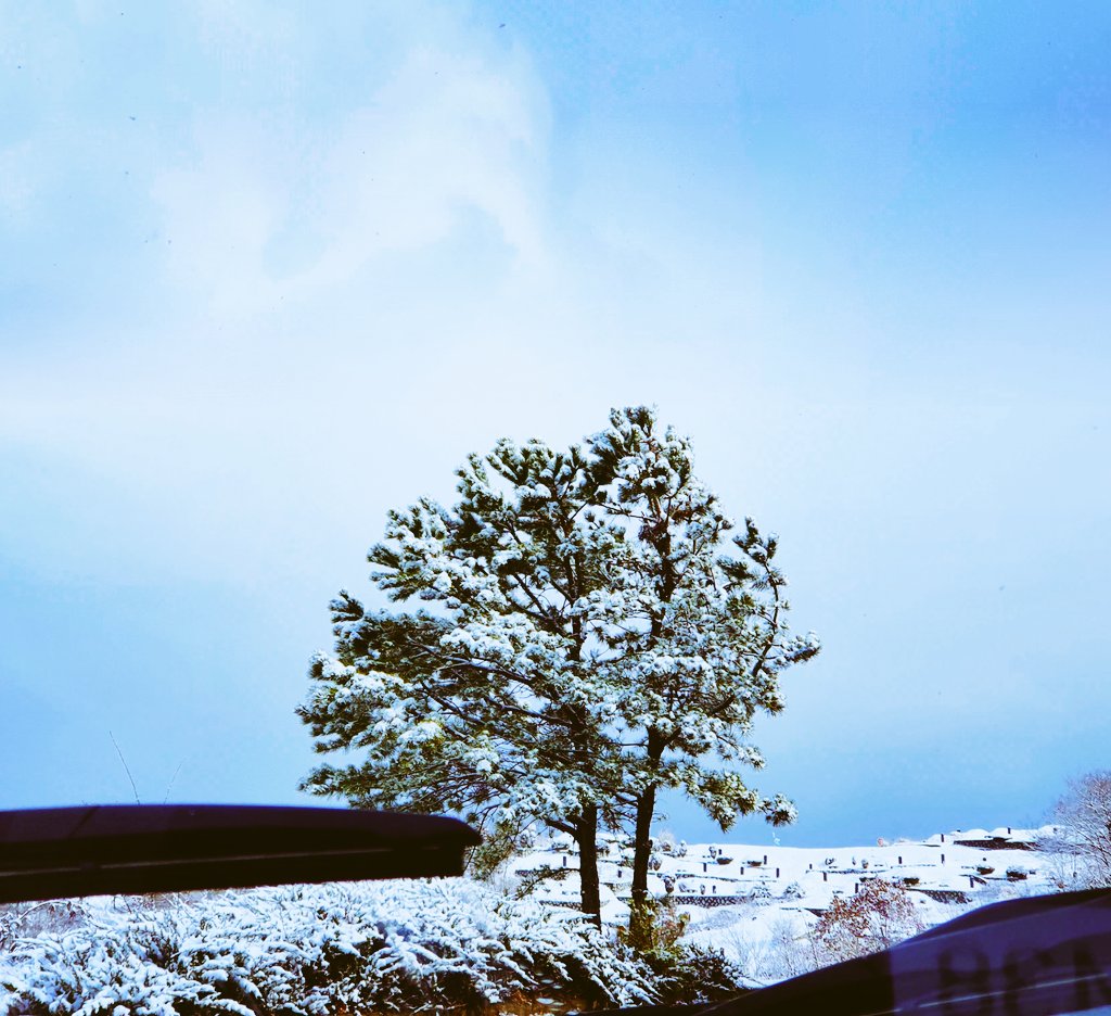 tain1177's tweet image. 고인의 넋을 위로하러 
파주 추모 공원에 갔다가 
올해 처음 보는 
아름다운 눈 쌓인 풍경에 
내가 위로 받고 왔다 ...