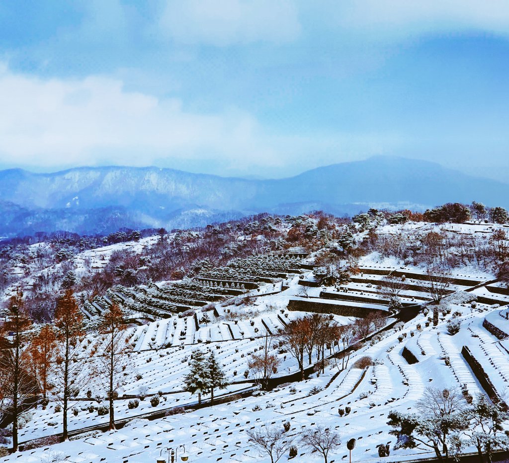 tain1177's tweet image. 고인의 넋을 위로하러 
파주 추모 공원에 갔다가 
올해 처음 보는 
아름다운 눈 쌓인 풍경에 
내가 위로 받고 왔다 ...