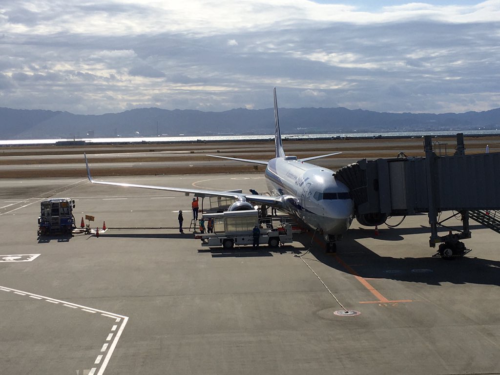 大阪航空専門学校 おはようございます 今朝は関西空港です なかの人は沖縄での説明会に行ってきます 天気が良くて飛行機も対岸もよく映えます 関西空港 Ana Jal 飛行機好き 空港好き T Co 486lde0lcz Twitter