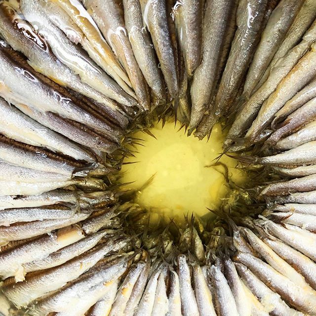 Jack Hadley tweet media