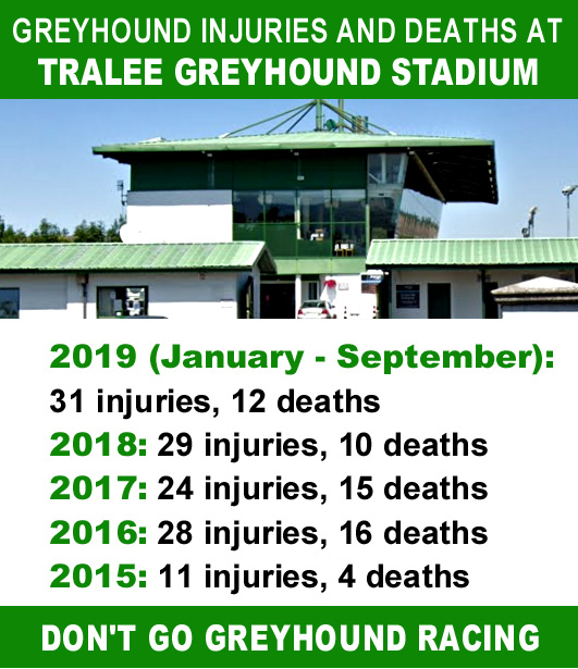 banbloodsports's tweet image. We are calling on FBD Insurance @fbd_ie to stop advertising at Tralee greyhound track where dogs suffer painful injuries and die.