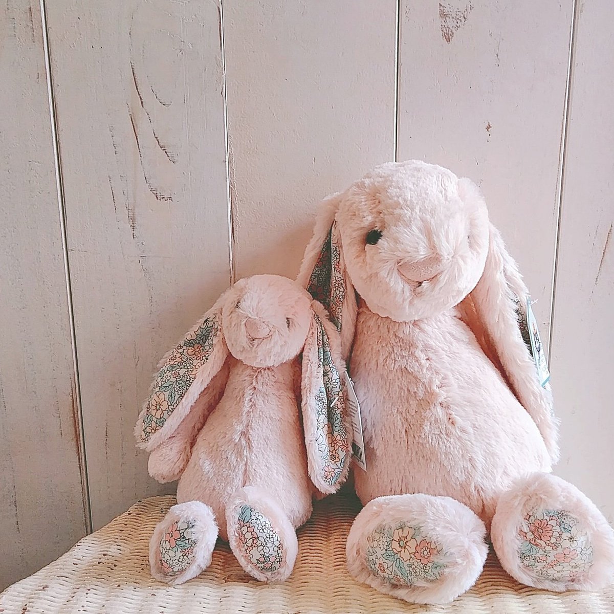 ジェリーキャットのブロッサムバニーに、ニューカラー到着