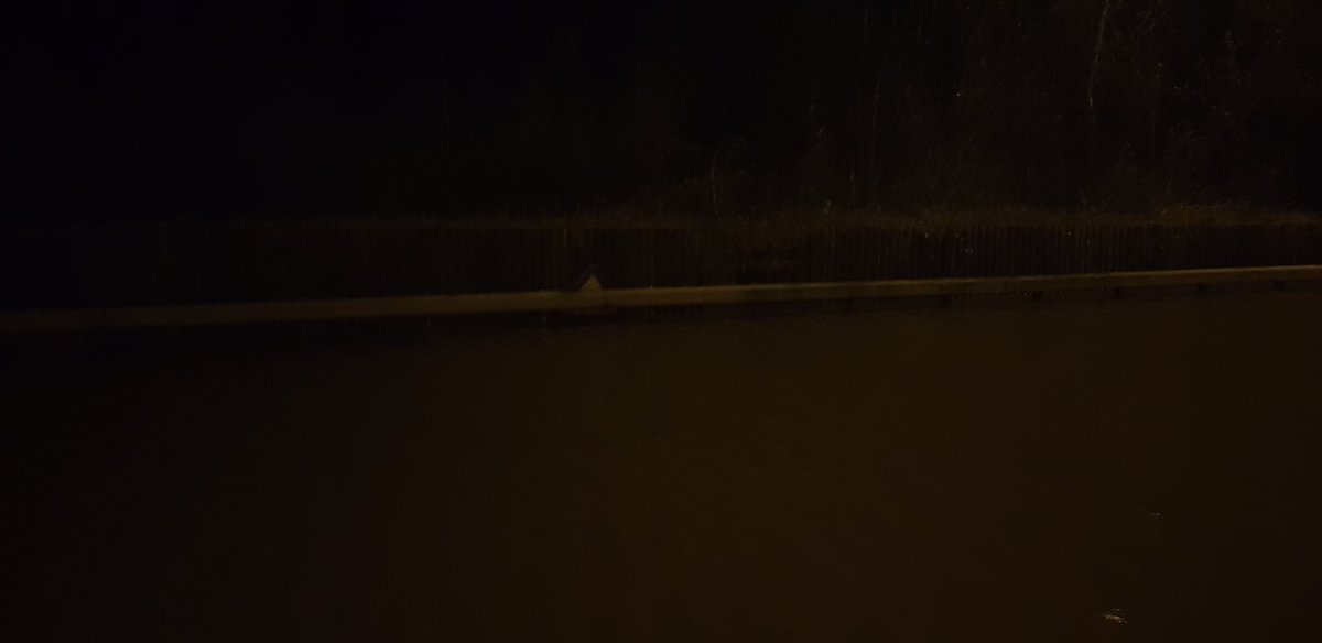 Eoin Walsh 🇮🇪 tweet media