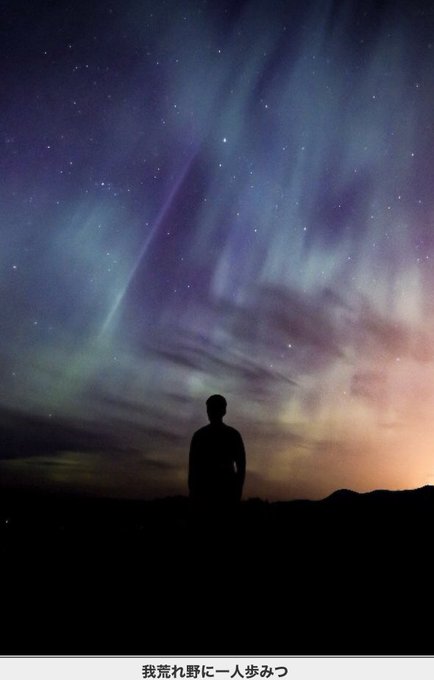 Scp財団 名言 迷言 Botさん の最近のツイート 7 Whotwi