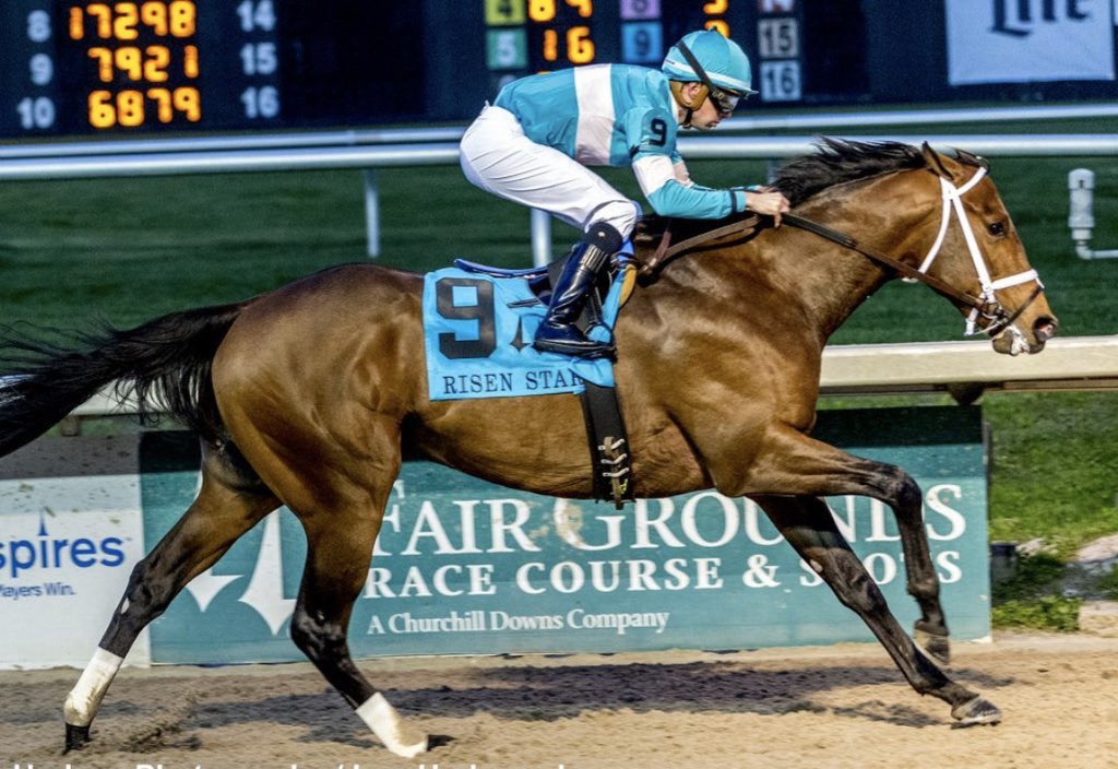 flothejock's tweet image. Mr Monomoy looking good winning the G2 Risen Star ⭐️