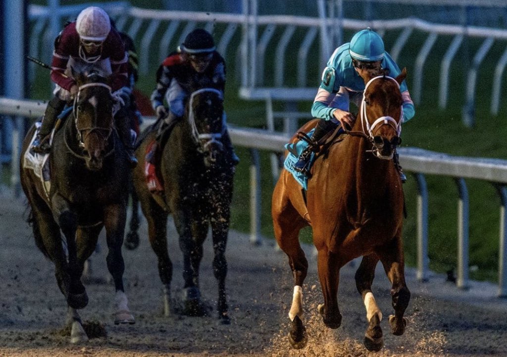 flothejock's tweet image. Mr Monomoy looking good winning the G2 Risen Star ⭐️