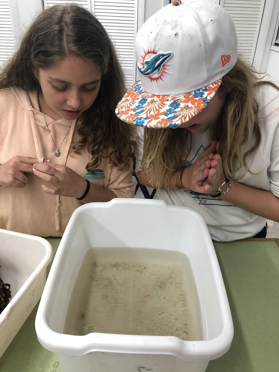 Rebecca patterson (@randgpatterson) on Twitter photo Invertebrate lab!!! They are SO excited to see what they find!!!@ShannaLillis <a href="/matthutson13/">Matthew Hutson</a> Invertebrate lab!!! They are SO excited to see what they find!!!@ShannaLillis <a href="/matthutson13/">Matthew Hutson</a>
