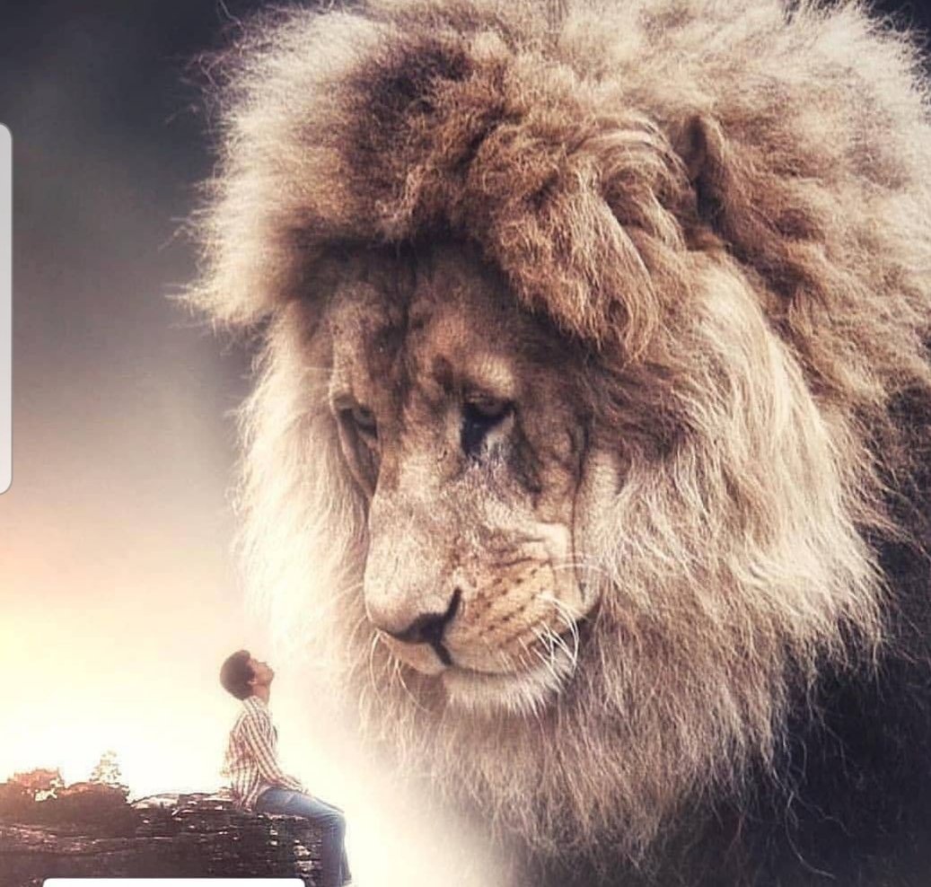 jadison_a's tweet image. Vinde a mim, todos os que estais cansados e oprimidos, e eu vos aliviarei.
Tomai sobre vós o meu jugo, e aprendei de mim, que sou manso e humilde de coração, e encontrareis descanso para a vossa alma.
Porque o meu jugo é suave, e o meu fardo é leve.
Boa noite á todos...