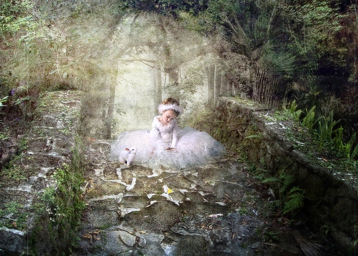 #Art #Cats #Birds #Dogs #Nature #Flowers #Photo #Image #Healing #Smile #Freedom #Peace