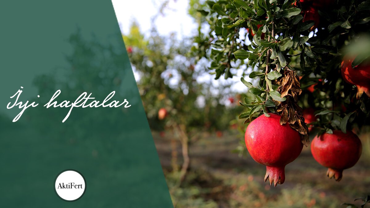 İyi haftalar dileriz 🌱

#MutluGünler #pazartesi #iyihaftalar