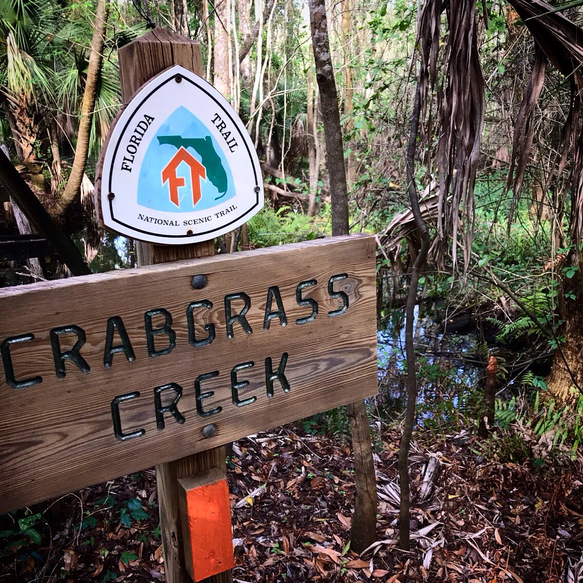trailname's tweet photo. I got to spend some time #SectionHiking on the #FloridaTrail! Such beauty in the #FloridaWilderness! #Hiking #HikingLife #FloridaHiking #HikeFlorida #KeepHiking #FindYourTrail #GetOutAndHike https://t.co/WCQUj1rCOh