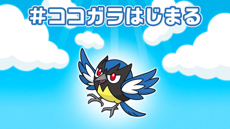 公式 ポケモン情報局 新しい冒険が ココガラはじまる T Co 3vromytzht Twitter