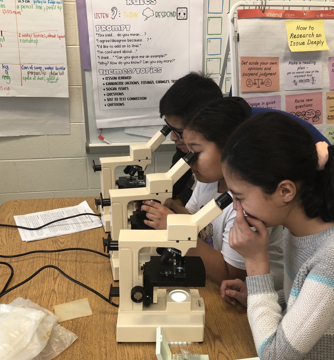 TeamLambourne's tweet photo. Zooming in on the life of a cell and exploring the difference between animal and plant cells ⁦@FDEStars⁩ https://t.co/sJyVwcf4or