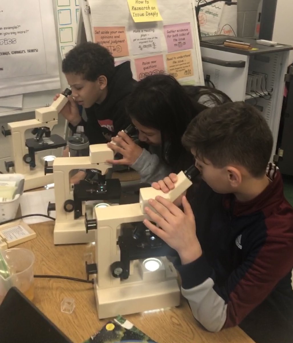 TeamLambourne's tweet photo. Zooming in on the life of a cell and exploring the difference between animal and plant cells ⁦@FDEStars⁩ https://t.co/sJyVwcf4or