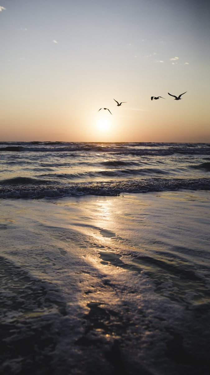 SilverRay3's tweet image. Sunrise at South Padre Island 🏝