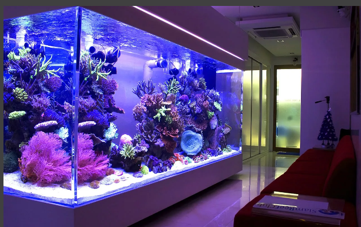 Этот текст размыт и вы не сможете его прочитать.