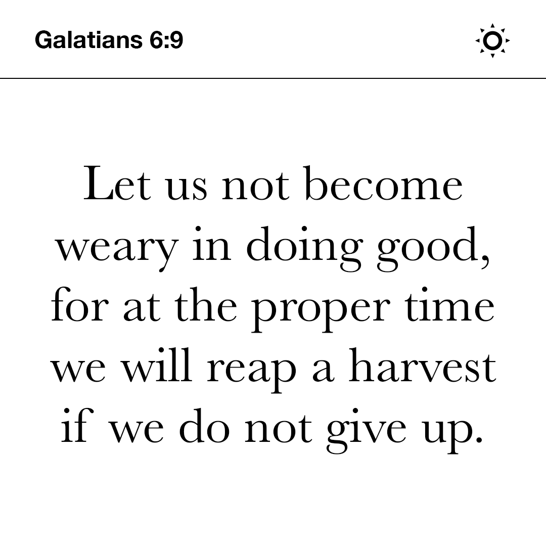 YouVersion's tweet photo. Let us not become weary in doing good, for at the proper time we will reap a harvest if we do not give up. Galatians 6:9 https://t.co/ZjmqHzCwmq