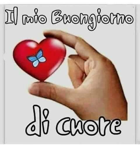 GTancredi's tweet photo. Buongiorno a tutti Amici https://t.co/VDKC01Zj8V