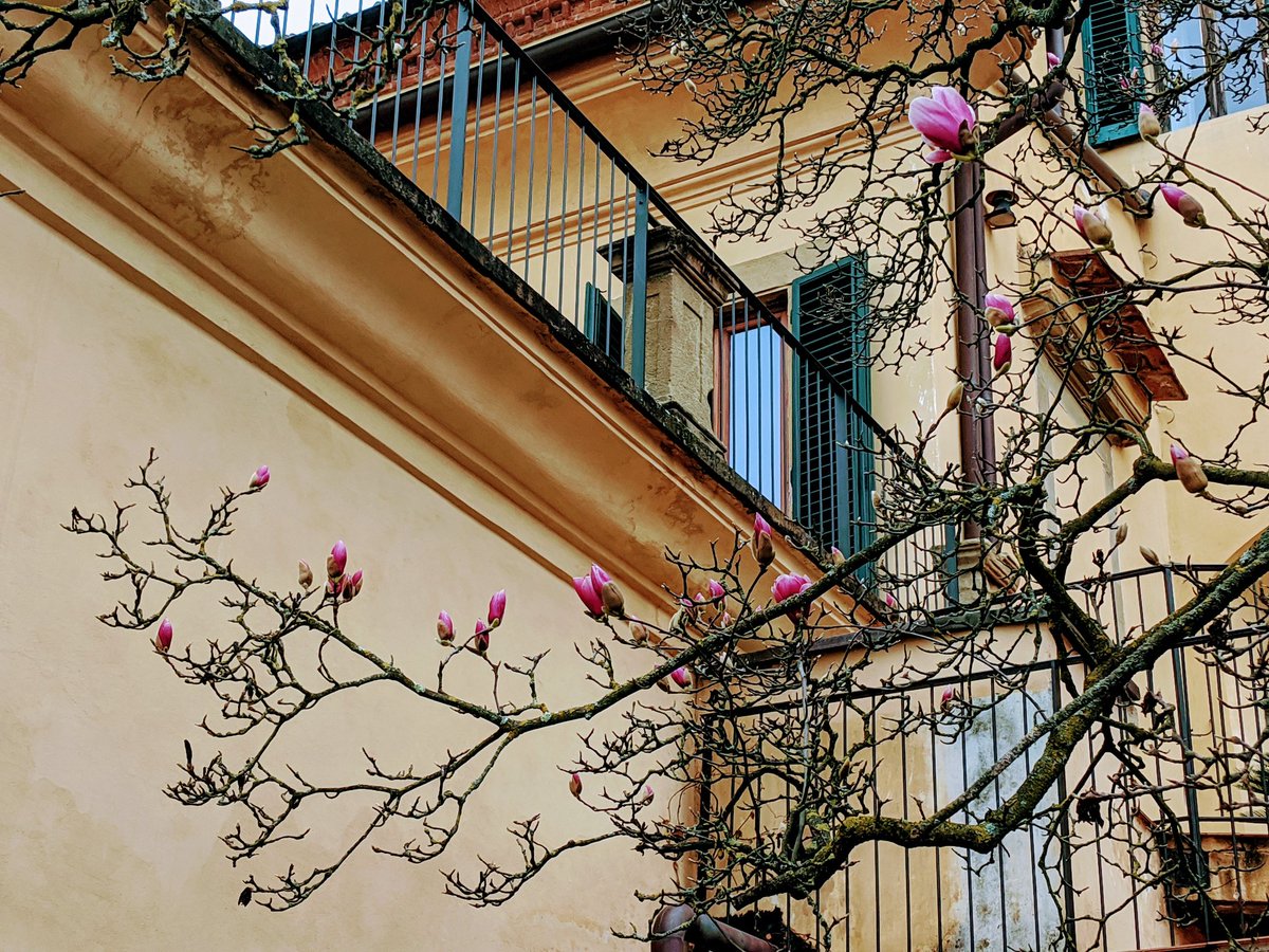 Linde Zuidema (@lindezuidema) on Twitter photo This early blooming magnolia @EuropeanUni gives all the more reason for researchers to discuss EU #climate policies at the EUI Climate Workshop coming Weds with <a href="/delbeke_jos/">Jos Delbeke</a> from <a href="/STGEUI/">School of Transnational Governance</a>, <a href="/MaxMunch1/">Max Münchmeyer</a> and others. Looking forward! This early blooming magnolia @EuropeanUni gives all the more reason for researchers to discuss EU #climate policies at the EUI Climate Workshop coming Weds with <a href="/delbeke_jos/">Jos Delbeke</a> from <a href="/STGEUI/">School of Transnational Governance</a>, <a href="/MaxMunch1/">Max Münchmeyer</a> and others. Looking forward!