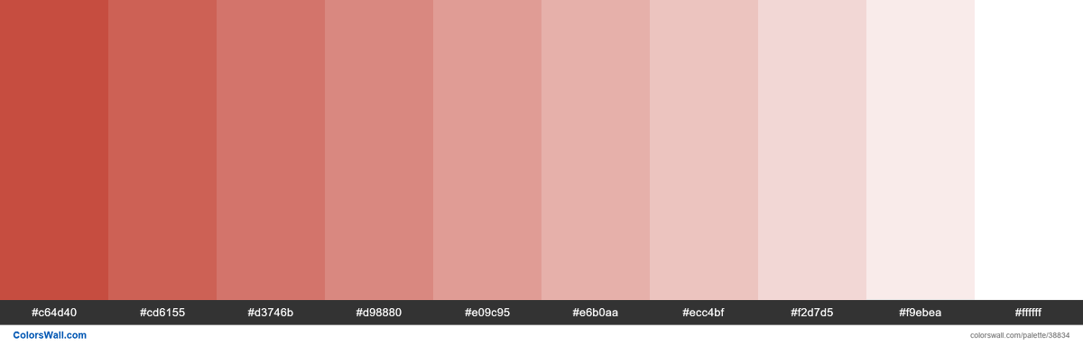 colorswall's tweet photo. Tints Flat UI color Pomegranate #C0392B hex #c64d40, #cd6155, #d3746b, #d98880, #e09c95, #e6b0aa, #ecc4bf, #f2d7d5, #f9ebea, #ffffff #colors #palette https://t.co/QdmGCAnRRM https://t.co/xrncYMlZD7