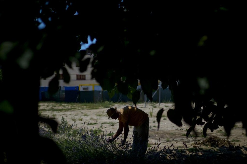 LCVerde's tweet image. 🍅 Plantar verduras en la ciudad: la revolución de los barrios se hace en un bancal 🍆 bit.ly/38zT30N 🌶🥕

#huertourbano #bancalescolectivos #horticultura #iniciativasagrícolas #ciudadanía