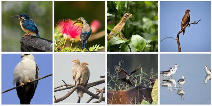 Smita Singh tweet media