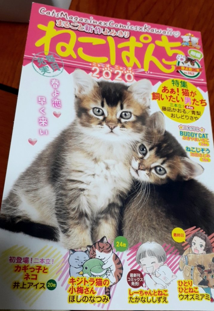 本日発売のねこぱんちに漫画5P掲載されてます。
人生初見開き書きました。

猫の肉球いいにおい～ 