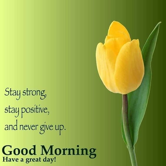 Good Morning Have A Safe Day Marsha Lois Camille Philpotts On Twitter: "Hi Friends Good Morning Have A Good  Day. Today Is Monday And Please Have A Safe, Fun Day.  Https://T.co/Cukcsm8Wvs" / Twitter