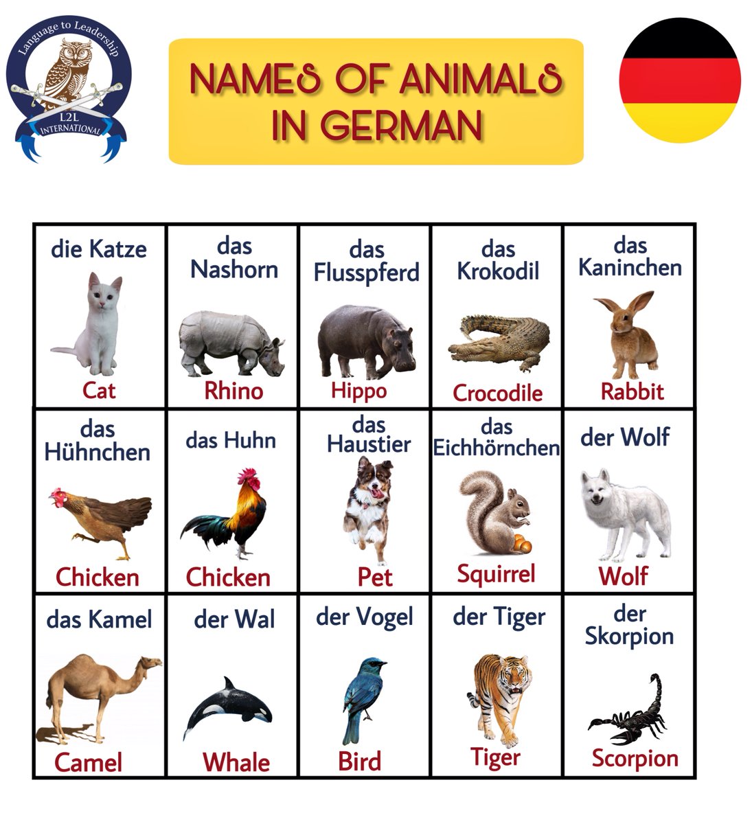 توییتر \ L2LInternational در توییتر: «Names of Animals in German #dieKatze #dasNashorn #daskrokodil #germanwordoftheday #learngerman #germanlanguage # german #wortschatz #deutschlernen #deutschesprache #germanwords #deutschkurs #germany #learn #Foreign ... توییتر \ L2LInternational در توییتر: «Names of Animals in German #dieKatze #dasNashorn #daskrokodil #germanwordoftheday #learngerman #germanlanguage # german #wortschatz #deutschlernen #deutschesprache #germanwords #deutschkurs #germany #learn #Foreign ...