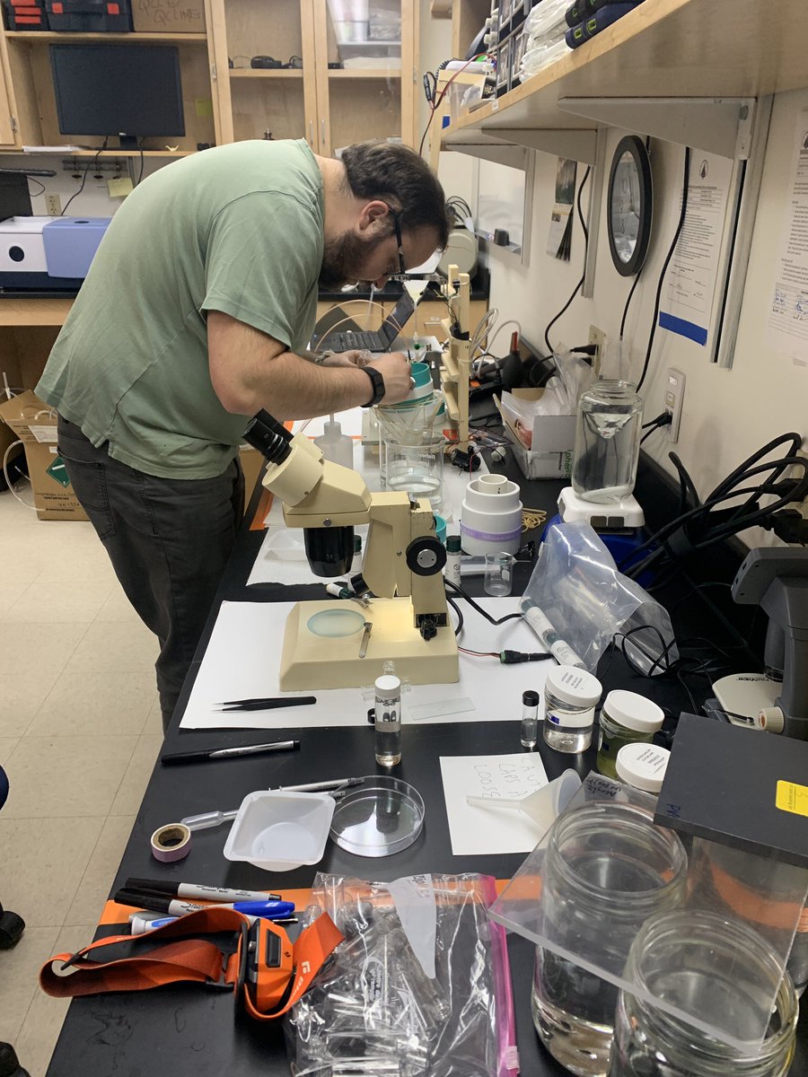 WHOI_CSL's tweet photo. Monday @AGU_OS check out the Snapchat of sensors poster session to learn about @WHOI_CSL graduate student Beckett Colsonโs research on microplastic detection. #OSM20 #mitwhoi @WHOI https://t.co/yhOTwZLp3J