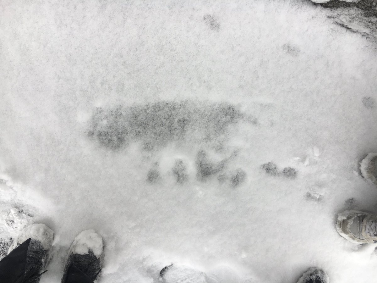 걷다가 가끔 눕고