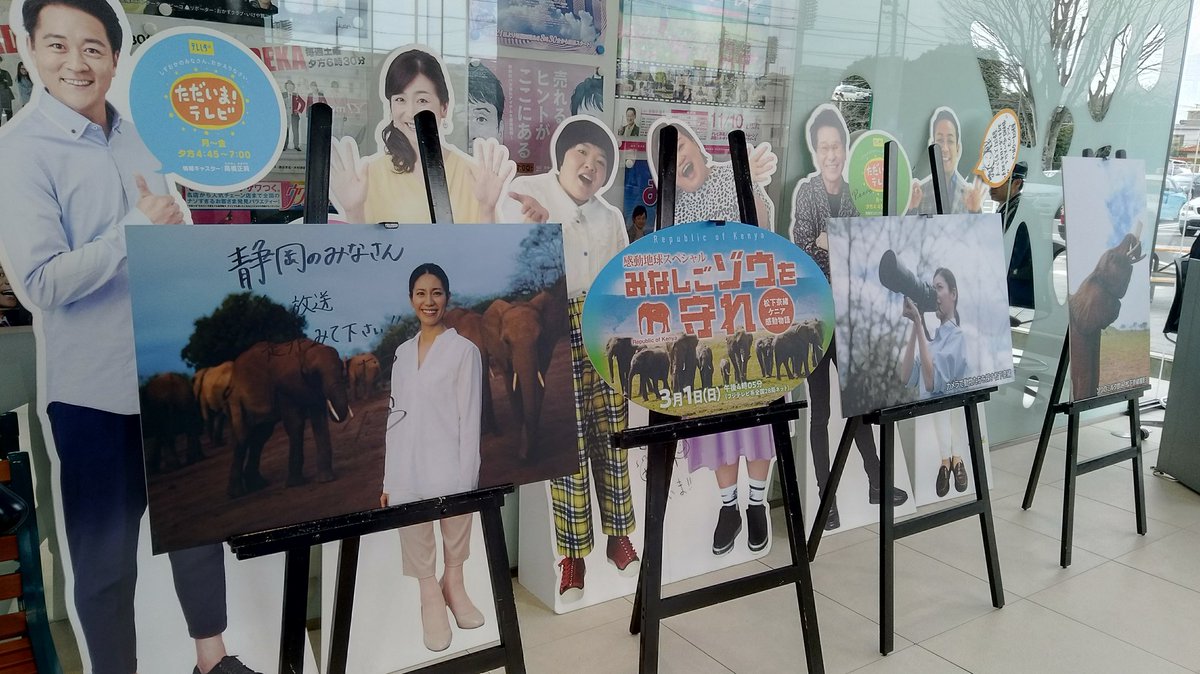 テレしず広報 Auf Twitter テレしず制作の全国番組 感動地球スペシャル みなしごゾウを守れ 松下奈緒ケニア感動物語 が 3月1日に放送となります 現在テレしず本社ロビーでは 松下奈緒ケニア旅写真展を実施中 毎日9時半 17時半まで 入場無料です T
