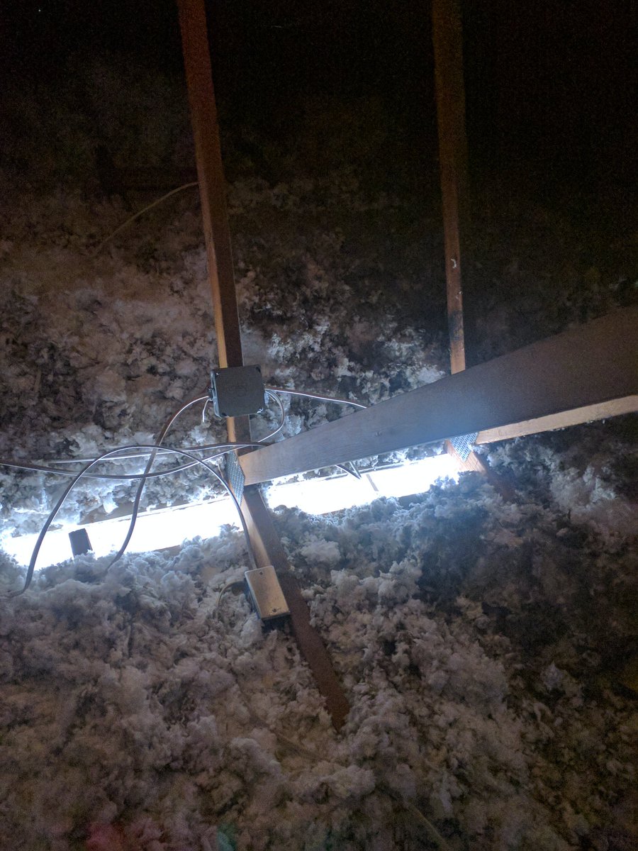 AoretSC2's tweet photo. Update on #StudioArchon - electrical is done, network cable run everywhere, over 9000 miles of baseboard pulled up house-wide, and I have paint done on a bunch of rooms besides this one.
Hoping to have drywall done this week to close the rift between each half of the archon! https://t.co/oqj9Q1o1vY